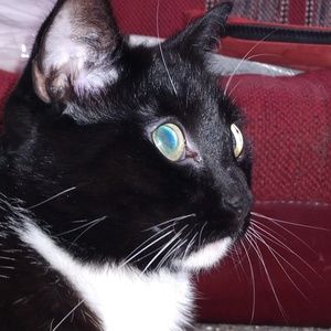 Meet your Posher, Glenda